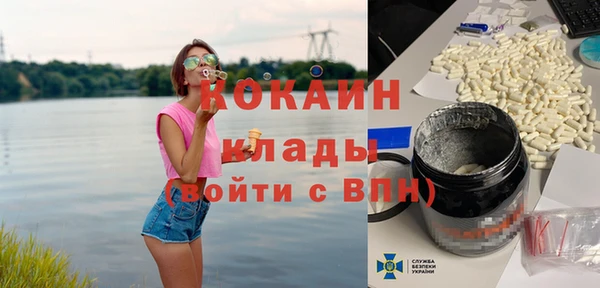 гидра Няндома