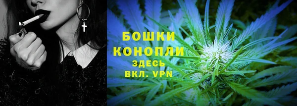 гидра Абаза