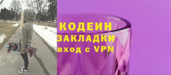 гидра Няндома