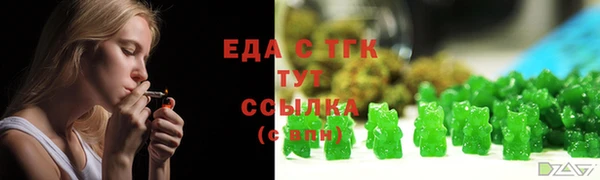 гидра Няндома