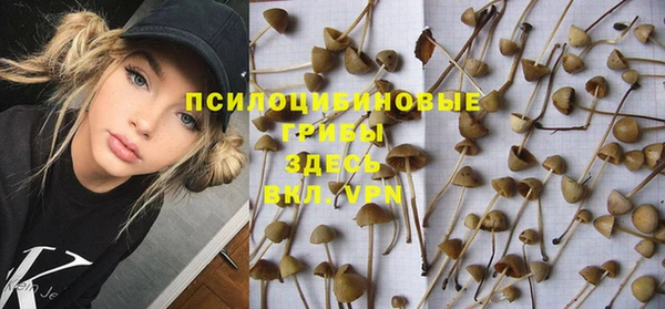 a pvp Абинск