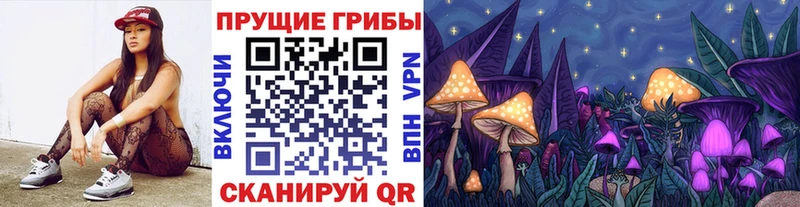 купить  сайты  Мурино  Псилоцибиновые грибы GOLDEN TEACHER 